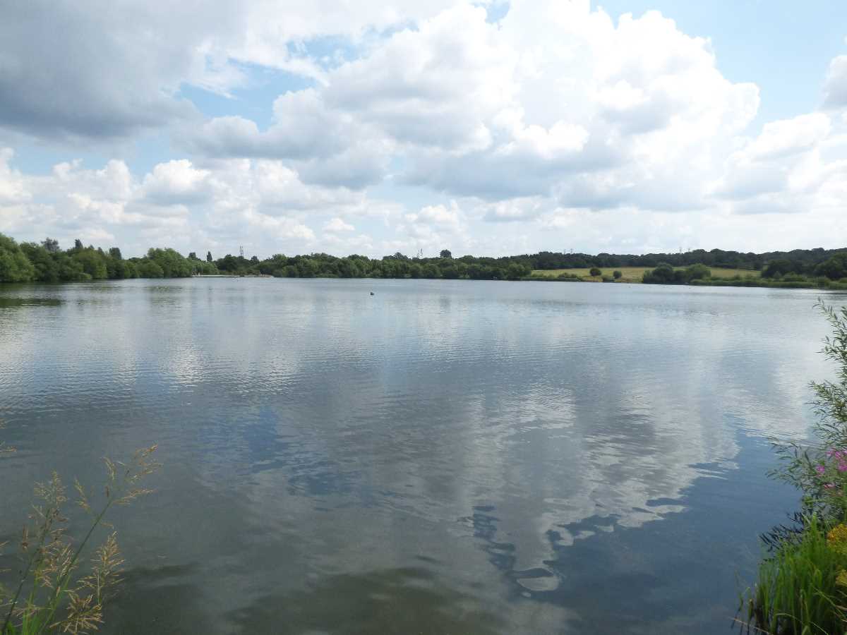 Swan Pool Sandwell Valley Country Park